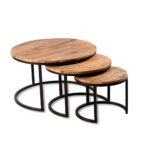 Rough Aara Mango Wood Coffee Table Set Of 3